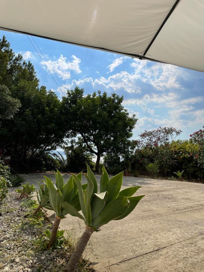 Casa Vacanze Piedigrotta Villa Pizzo  Dış mekan fotoğraf