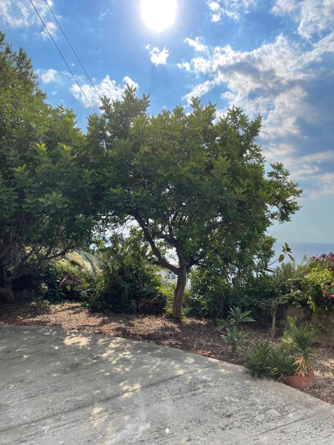 Casa Vacanze Piedigrotta Villa Pizzo  Dış mekan fotoğraf
